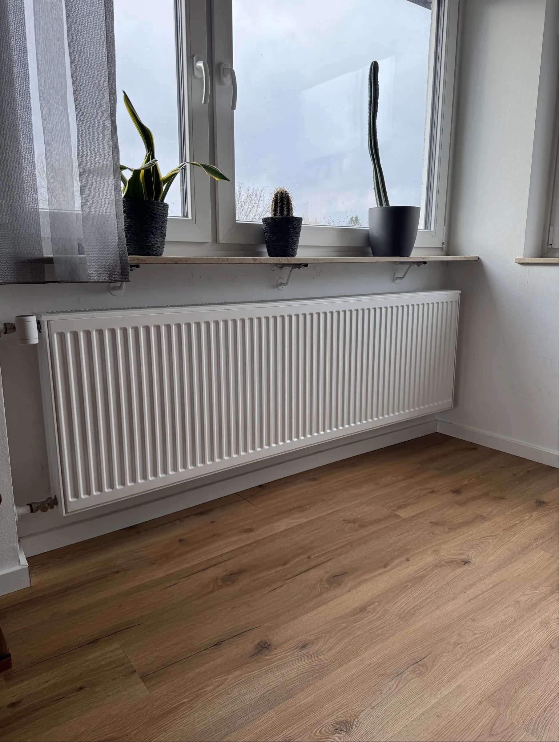Projekt 1